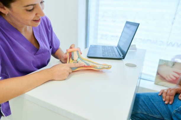 Healthcare professional explaining foot anatomy using a model during consultation.