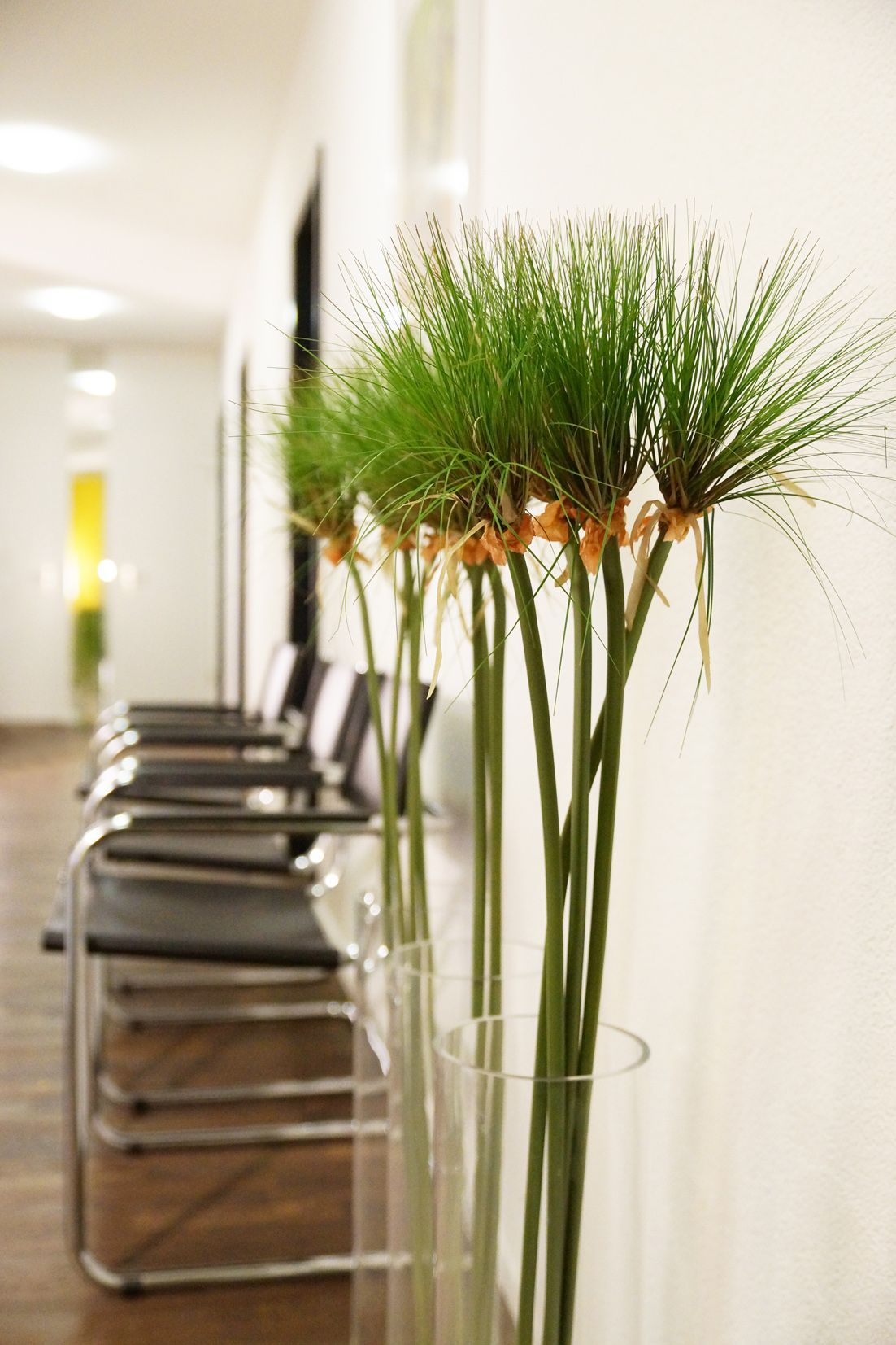 Eine Reihe von Stühlen in einem Wartezimmer mit einer Vase mit Pflanzen darauf