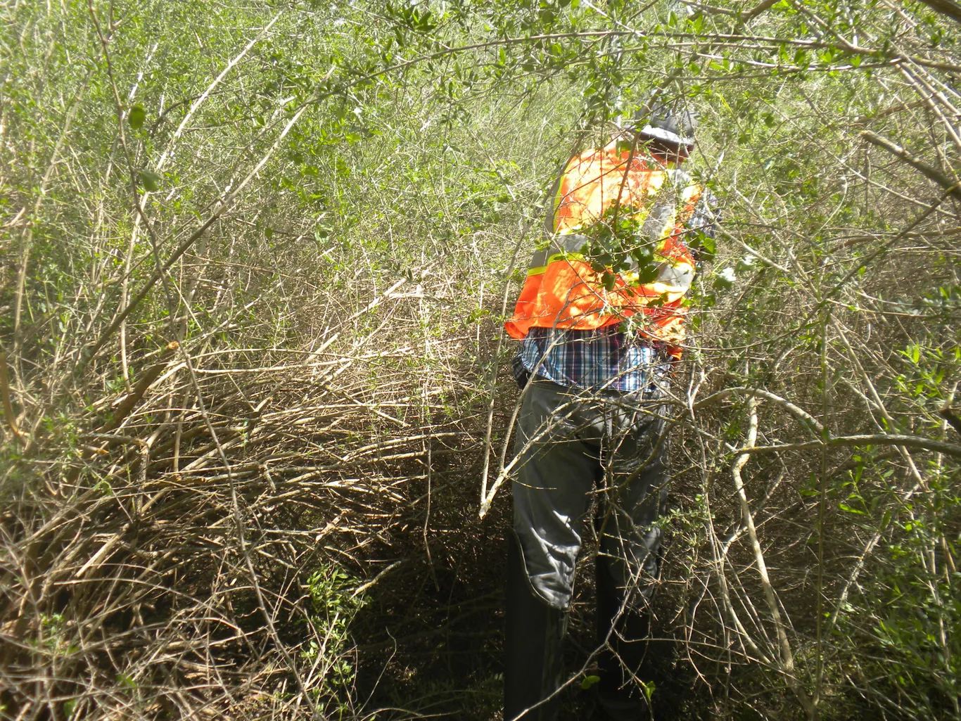 San Antonio Land Surveyors Total Geo Data Completing A Boundary Location Project