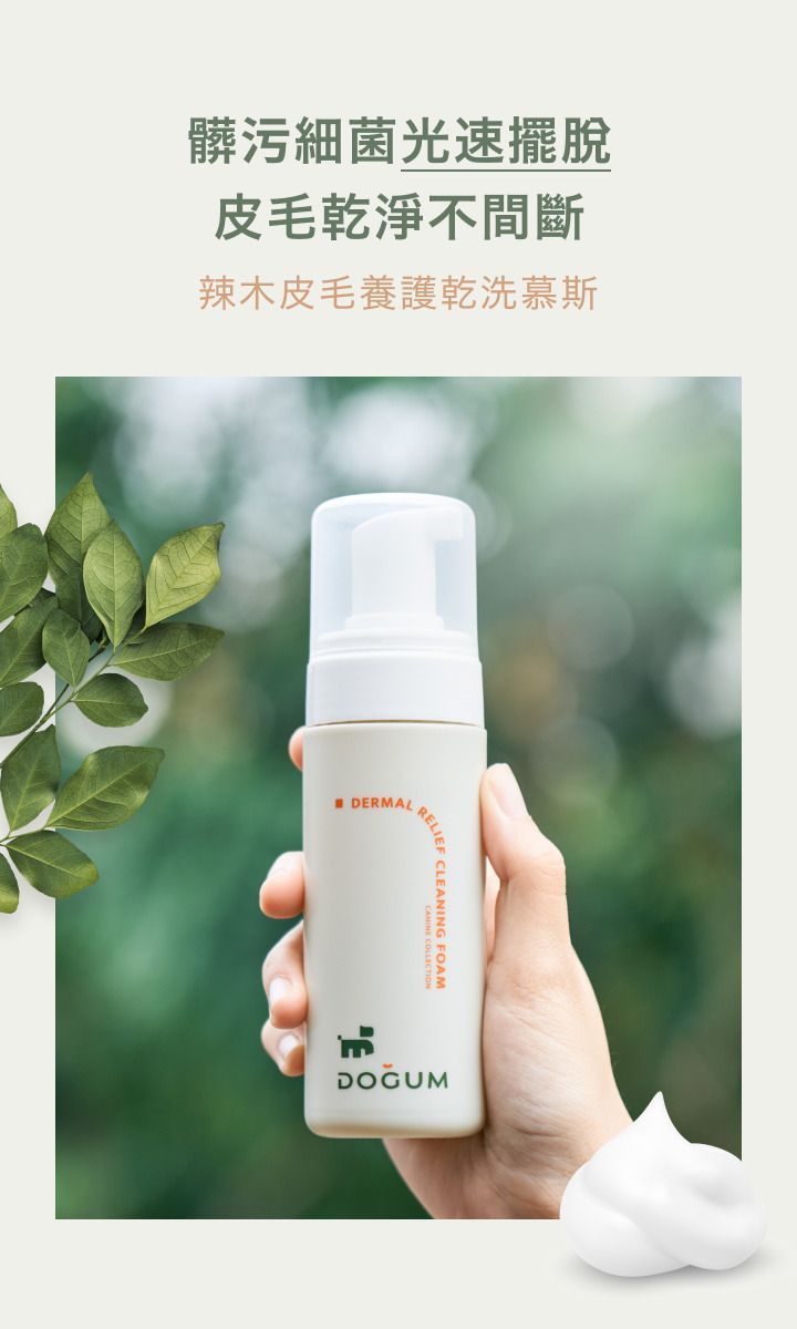 【明星組合】辣木子萃取(乾洗慕斯*2+厚掌嫩足霜*2)