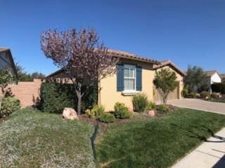 A house with blue shutters and a tree in front of it.