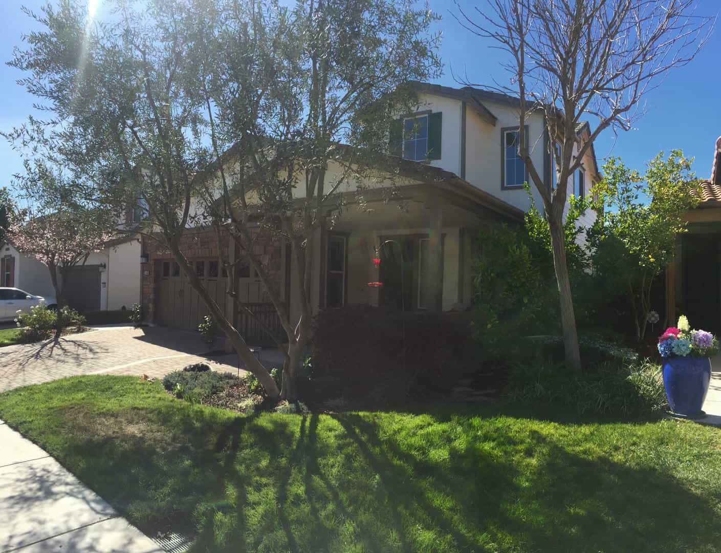 A house with a lot of trees in front of it