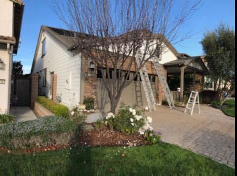 A house with a tree in front of it is being painted.