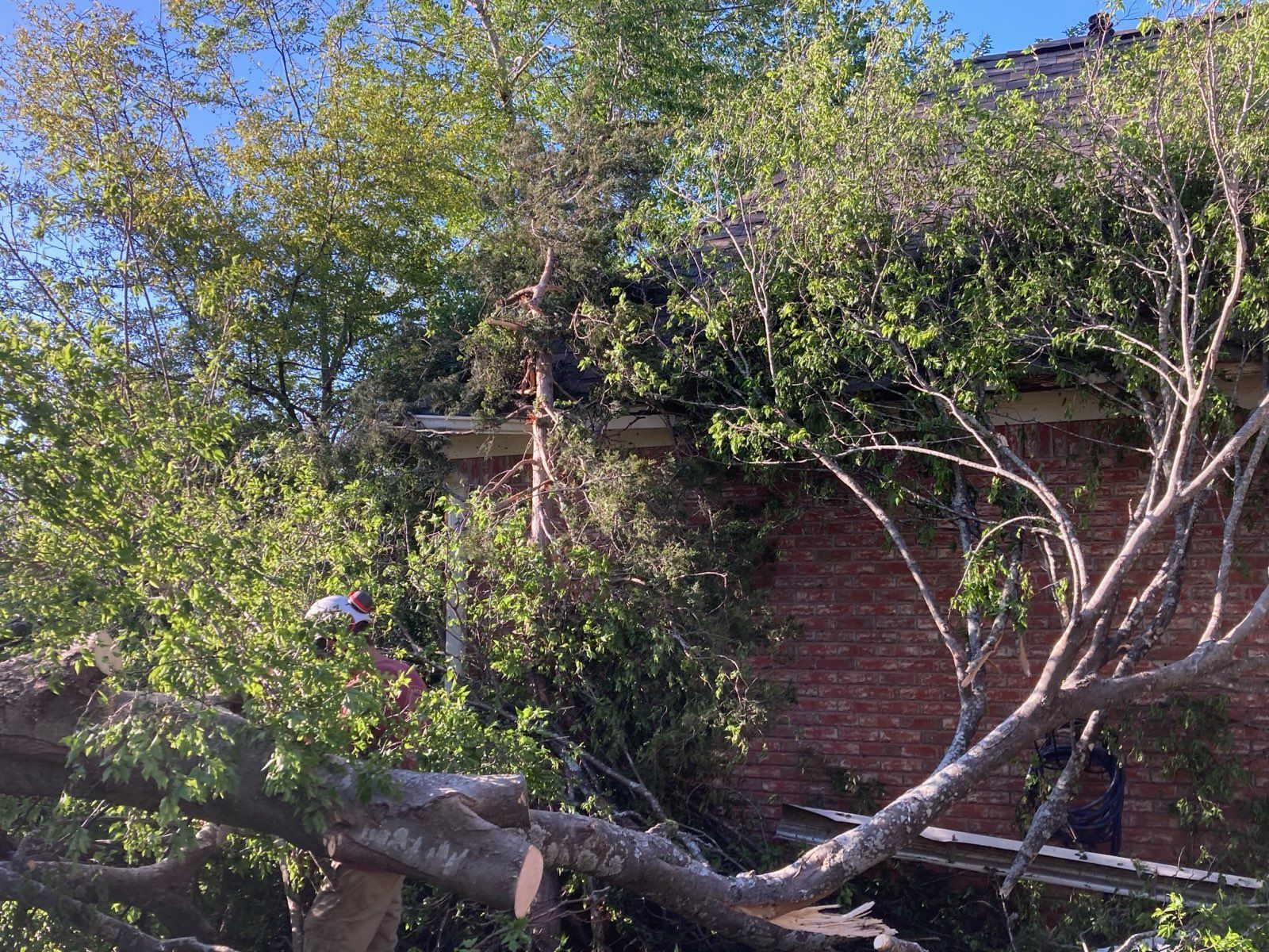 Tree fallen on a brick building; part of the roof is damaged.
