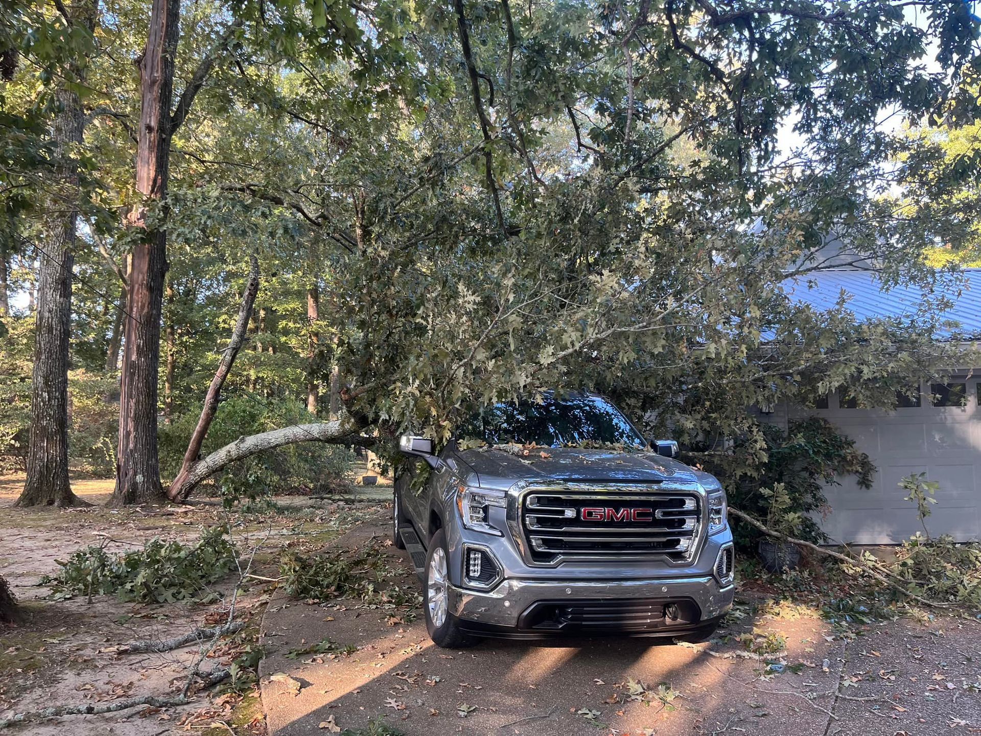 A silver GMC truck is crushed under a fallen tree limb in a wooded area.