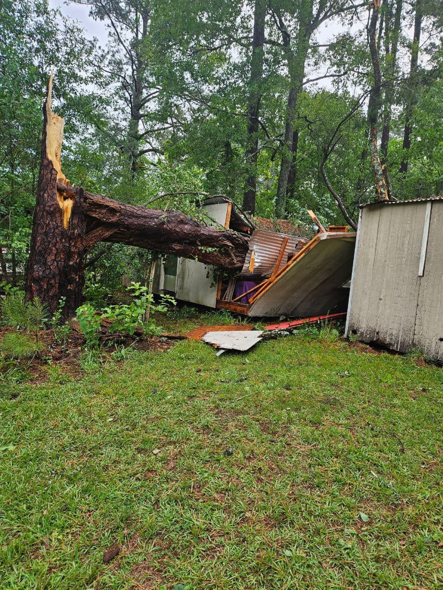 A large fallen tree on top of a small building, causing roof damage, green grass surrounds.