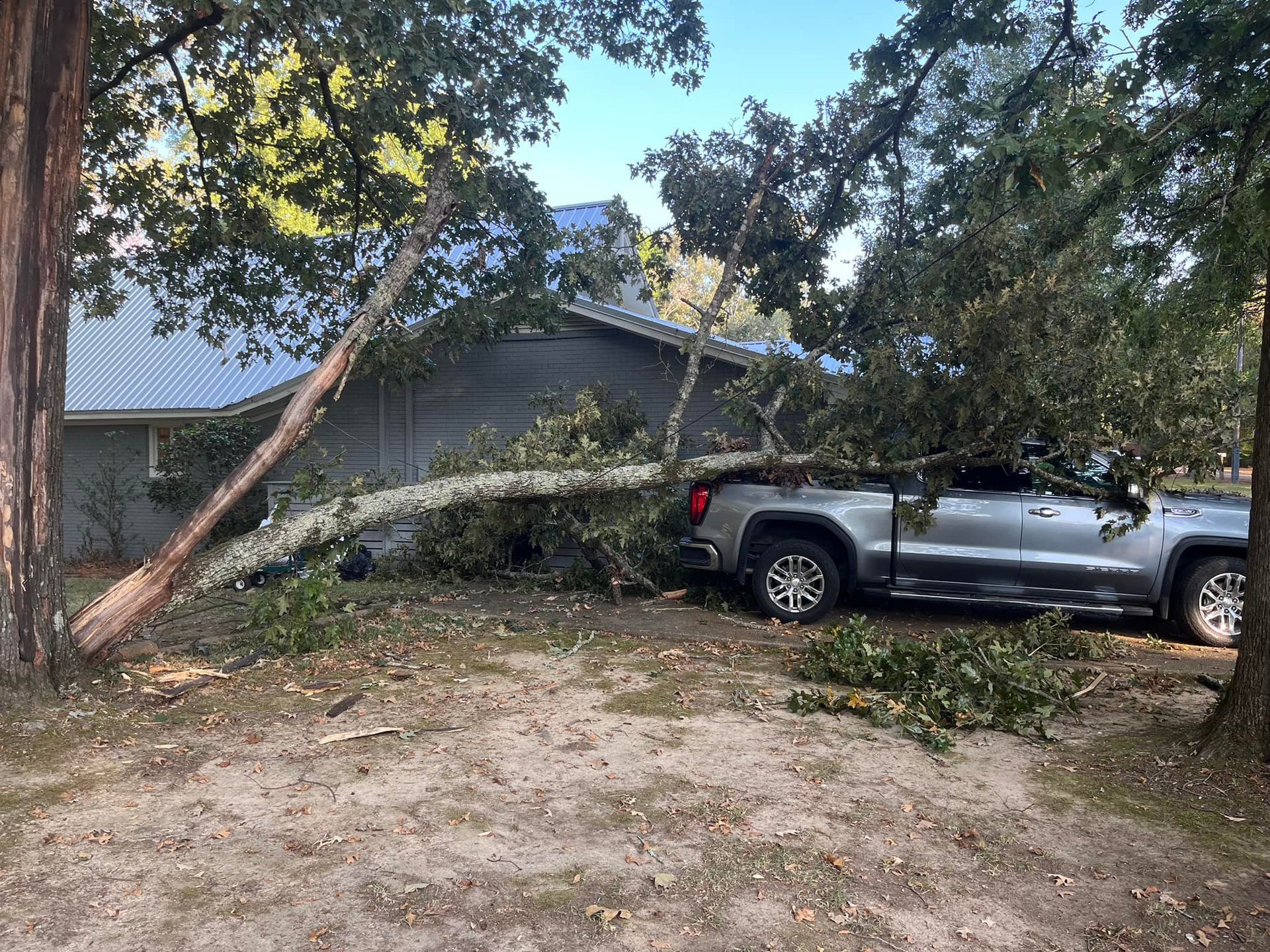 Tree branch fallen on a silver pickup truck parked near a house. Debris covers the ground.