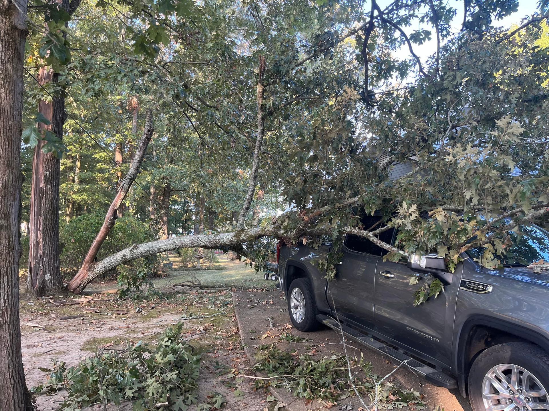 A fallen tree branch rests on a grey pickup truck. Branches and debris are on the ground.