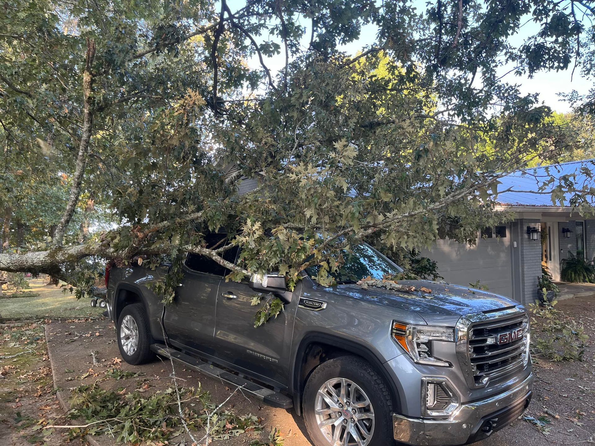 Gray truck under a tree with fallen branches. Leaves and debris cover the vehicle.