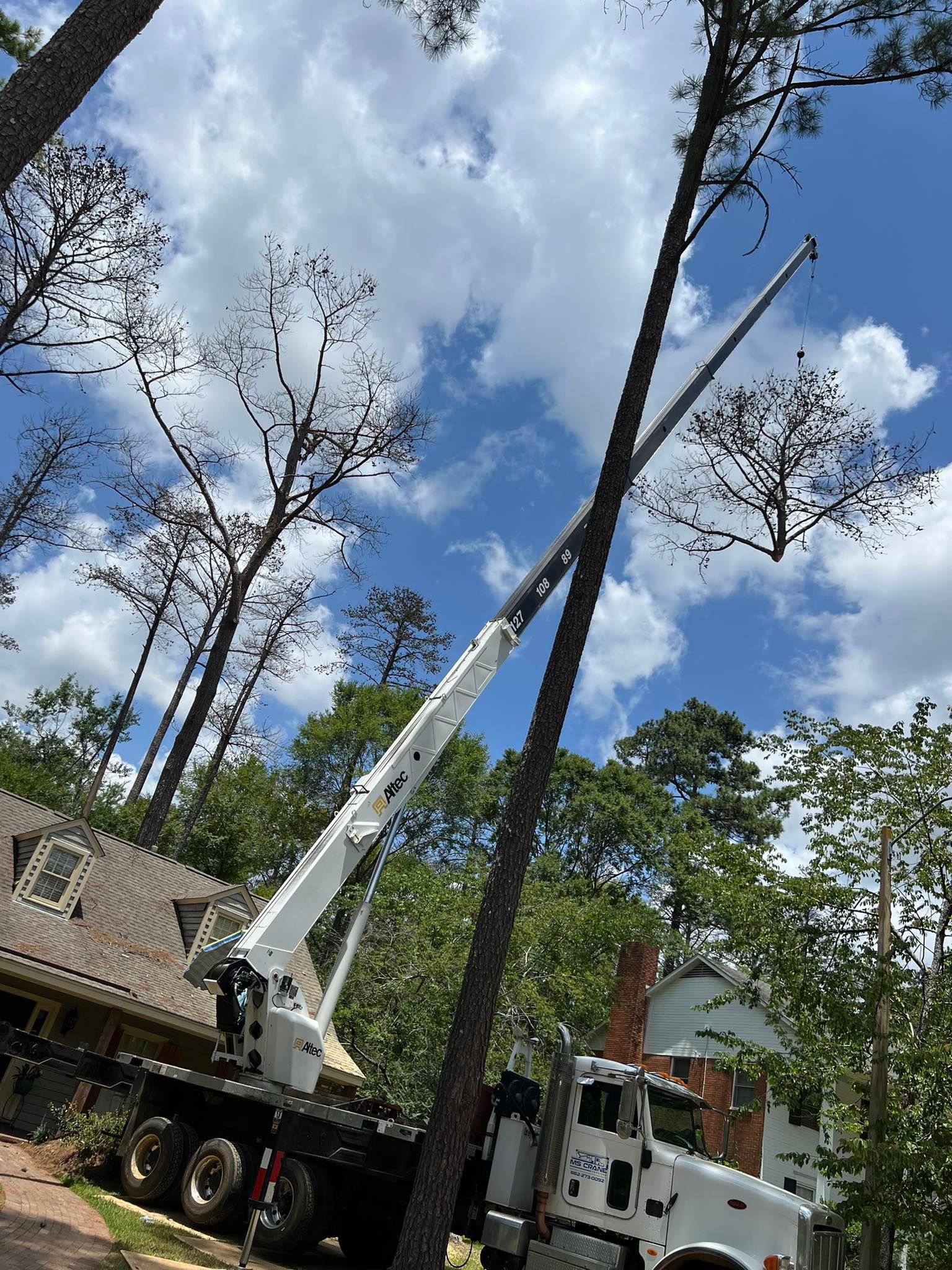 Crane truck trimming a tall tree, blue sky with clouds, houses nearby.