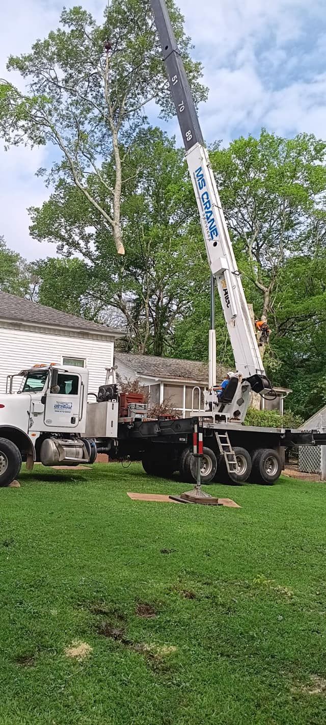A tree service truck with a crane cutting a tree near a house, green grass and sky.