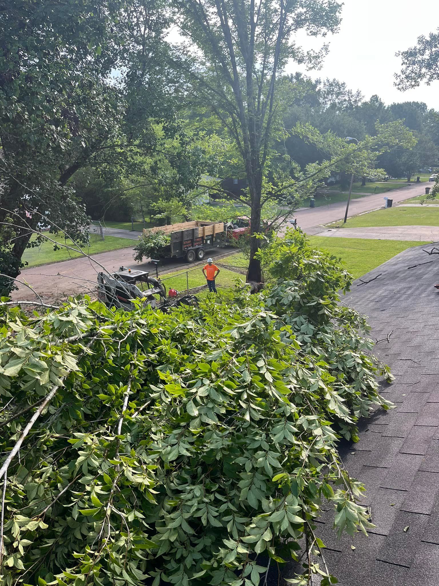 Pile of green brush with a worker and tree removal equipment on a road in a sunny, green setting.