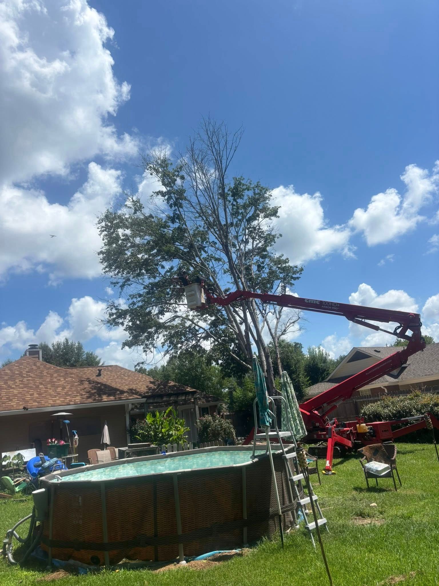 Red lift truck trimming a large tree near a pool in a sunny backyard.