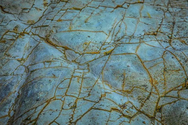 A close up of a cracked rock with a marble texture.