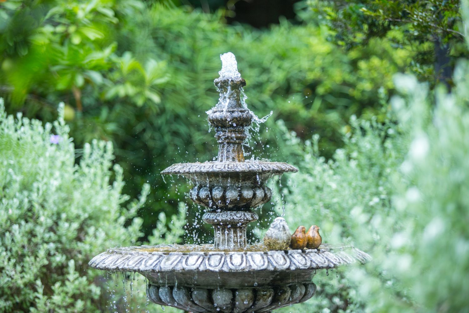 A fountain in a garden surrounded by trees and bushes.