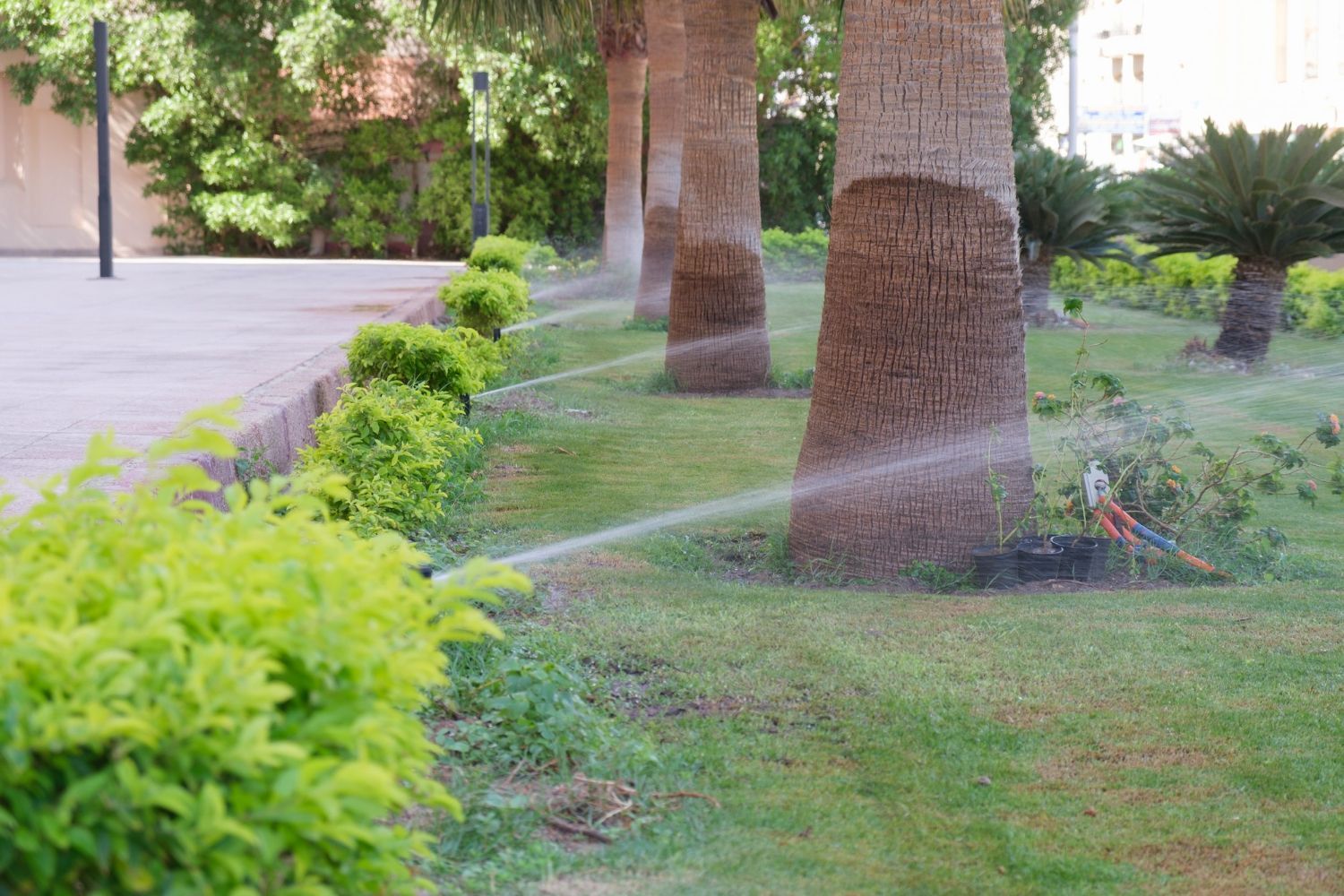 A sprinkler is spraying water on a lush green lawn in a park.