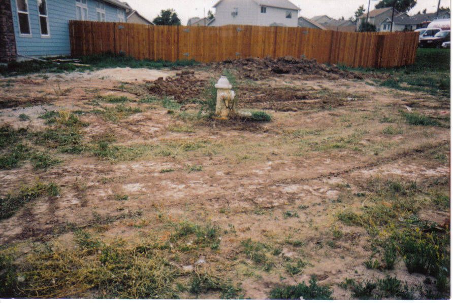 A muddy vacant lot with a fire hydrant and brown wooden fence in the background; a blue house on the left.