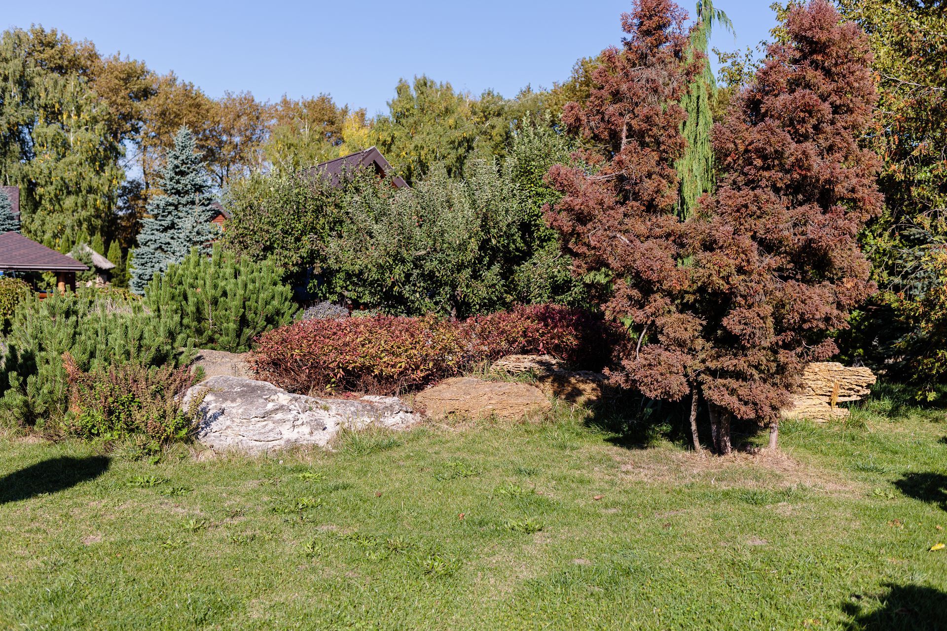 A lush green field with trees and bushes in the background