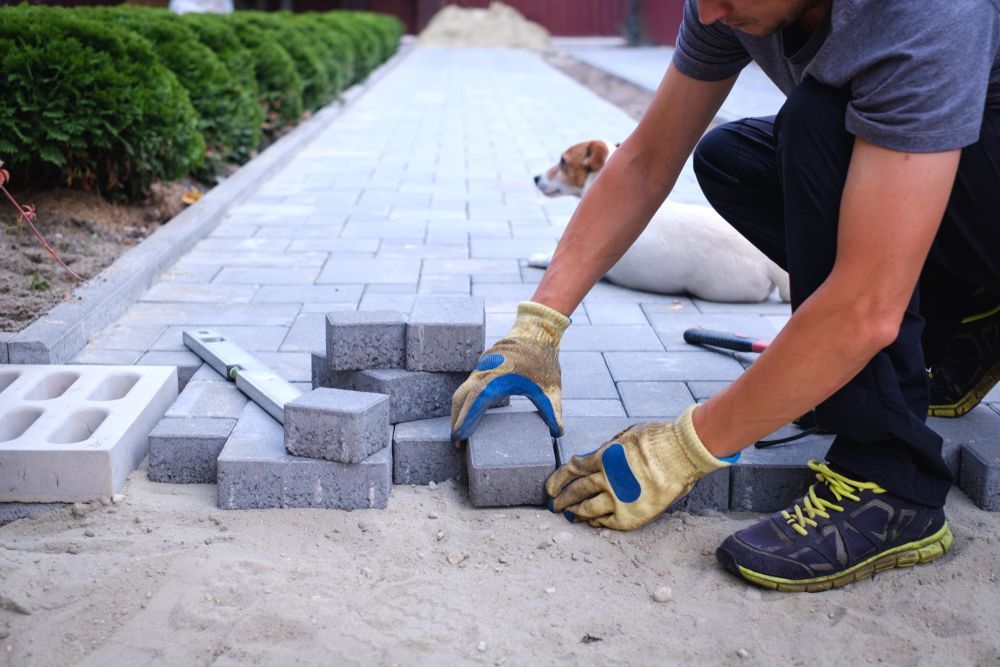 A man is laying bricks on a sidewalk next to a dog.