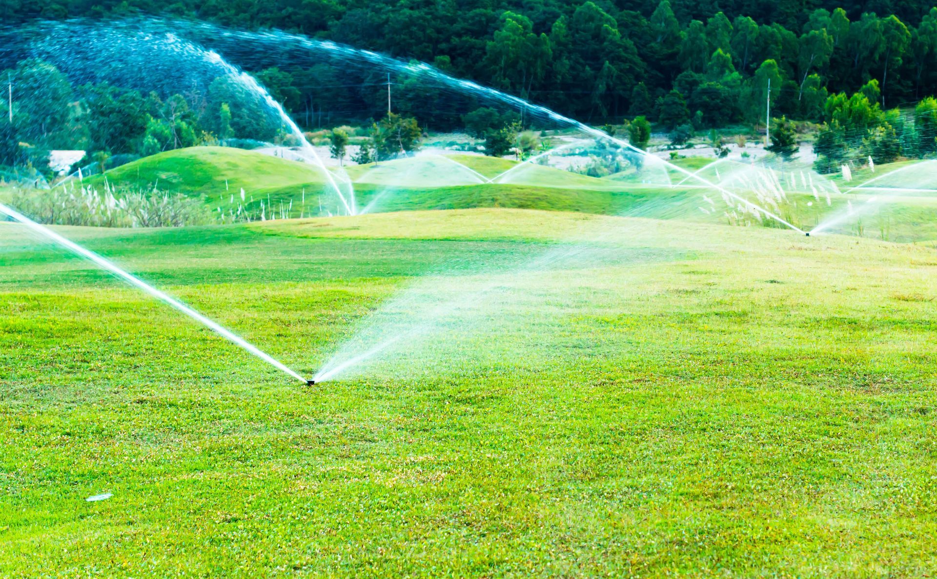 A sprinkler is spraying water on a lush green field.