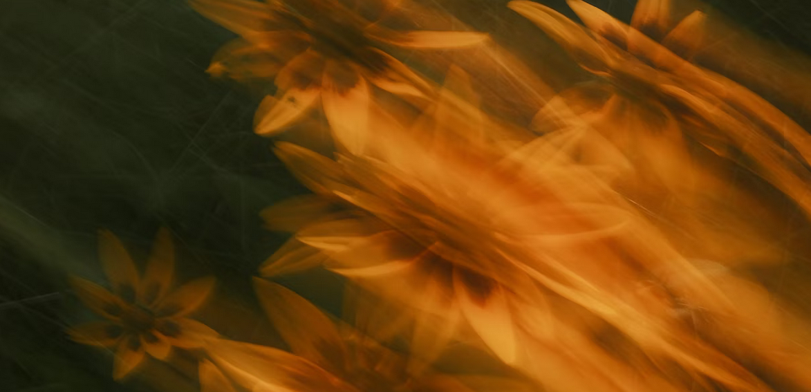 Baltimore MD funeral services