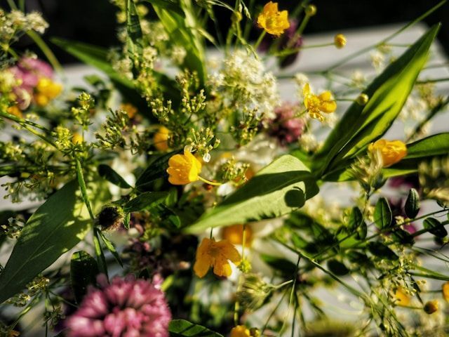 Baltimore, MD cremations