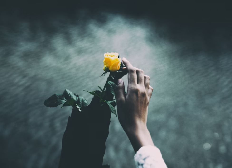 Baltimore, MD cremations