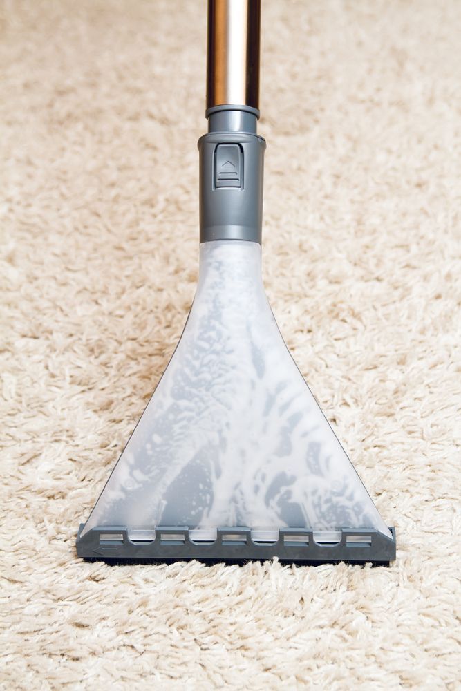 A Black And White Photo Of A Vacuum Cleaner Cleaning A Carpet — Echo Carpet Cleaning In Wauchope, NSW