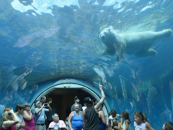 Pittsburgh PEO Solutions