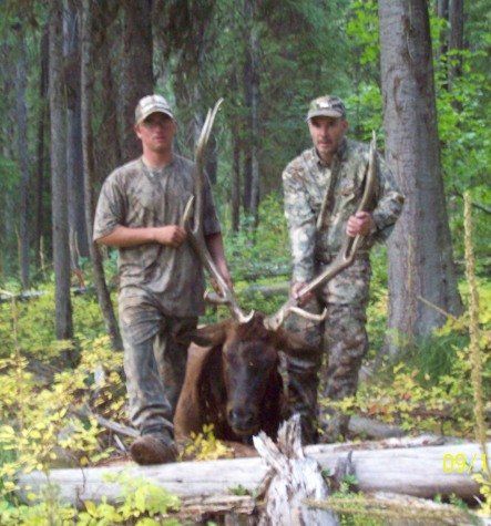 Two men standing next to a moose in the woods