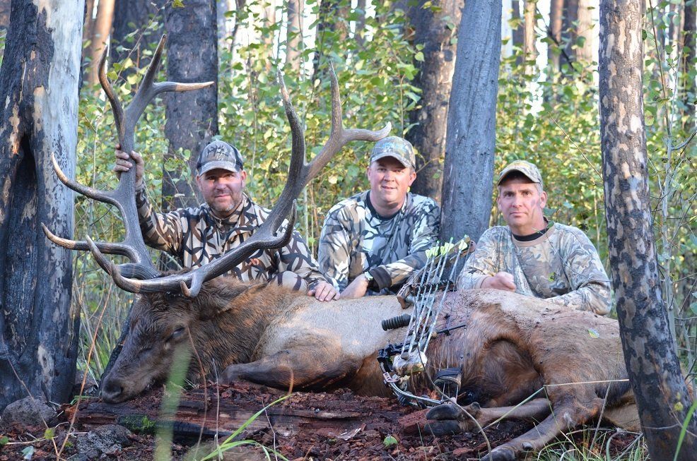 Arizona Elk Hunting, Arizona elk hunt, Outfitter, Guide
