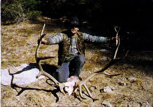 A man is kneeling down next to a large deer.