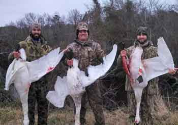 North Carolina Duck hunting, North Carolina Swan hunting, Outfitter, Guide
