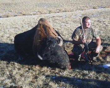 Buffalo hunting, outfitter, buffalo hunt