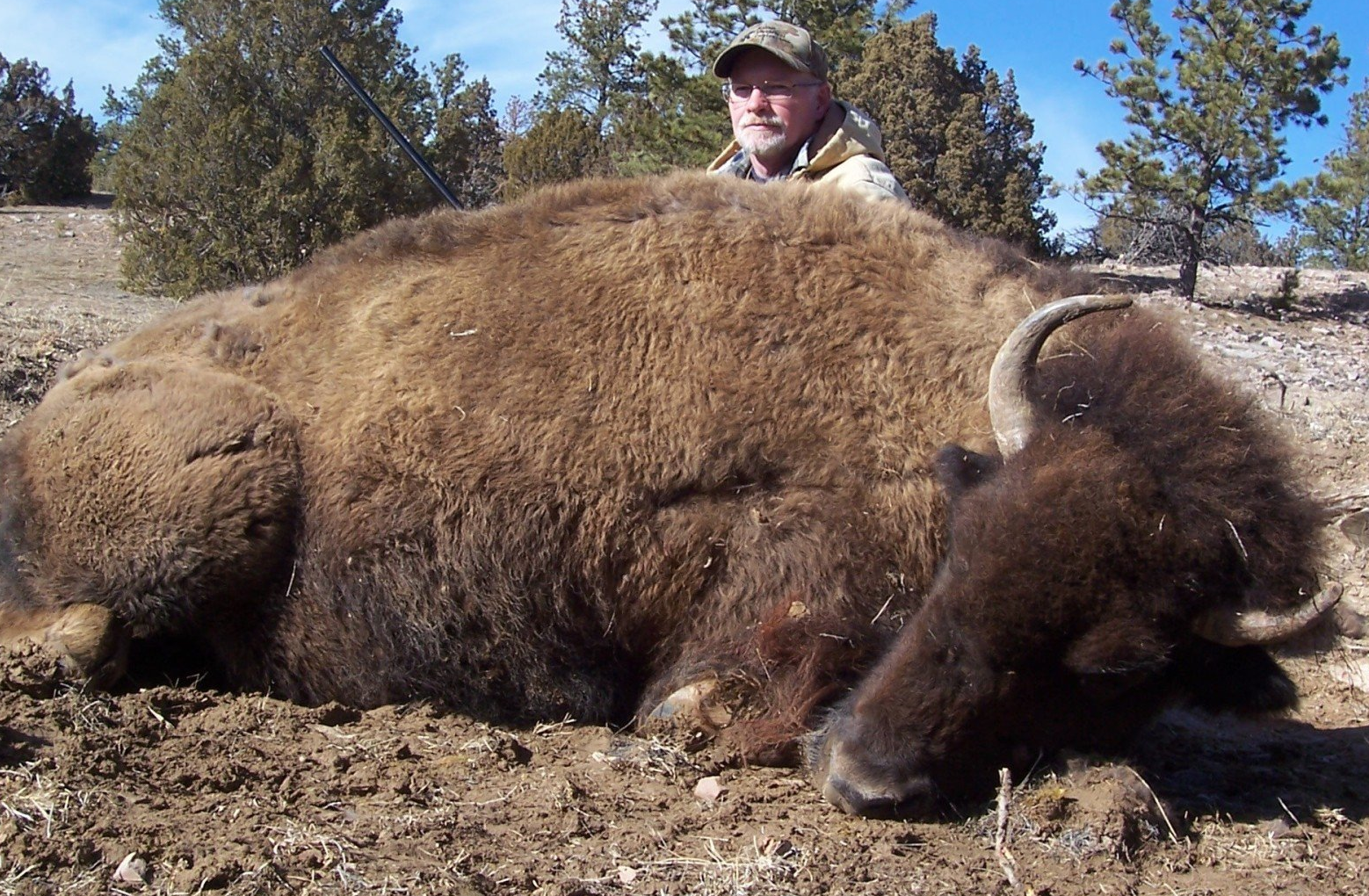 South Dakota buffalo hunting, South Dakota Buffalo hunt, South Dakota Elk Hunting, Colorado Elk Hunting