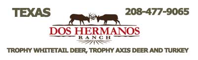 Texas hog hunting ranch, Texas hog hunt, Outfitter, guide, Deer hunting, deer hunt