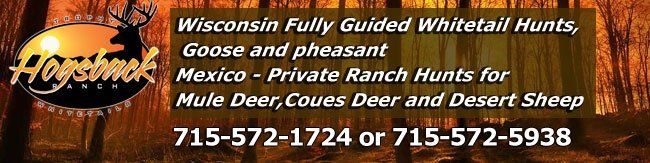 Wisconsin Whitetail deer hunting, Wisconsin whitetail deer hunt, Outfitter, guide