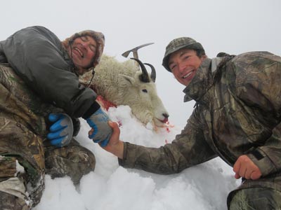 Two men are holding a mountain goat in the snow.