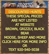 Alaska grizzly bear hunting, Alaska brown bear hunting