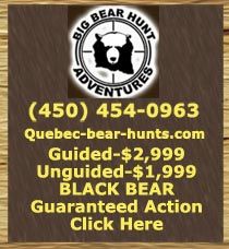 Quebec black bear hunting, Black bear hunting outfitter, black bear hunting guide
