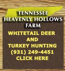 Tennesse whitetail deer hunting, TN whitetail deer hunt, guide, outfitter