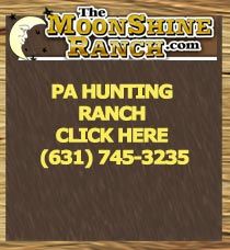 Boar hunting outfitter, Wild hog hunting, guide, hog hunt, outfitter, PA