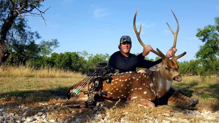 Texas Hunting Ranch, Texas hunting outfitter, texas exotic hunting ranch