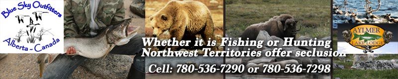 Alberta Whitetail deer hunting, Woodland buffalo hunting, Alberta waterfowl hunting, Alberta fishing, outfitter, guide
