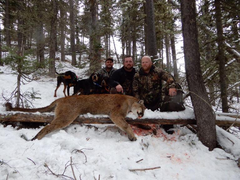 A group of men standing next to a mountain lion in the snow