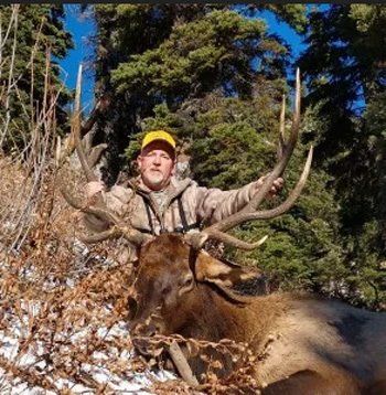 A man is standing next to a large elk in the snow