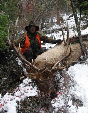 Montana elk hunting, MT elk hunt, MT deer hunting, MT mule deer hunting, mountain Lion Hunting