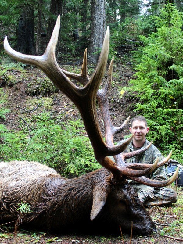 IDAHO ELK HUNTING, Idaho Mule Deer Hunting