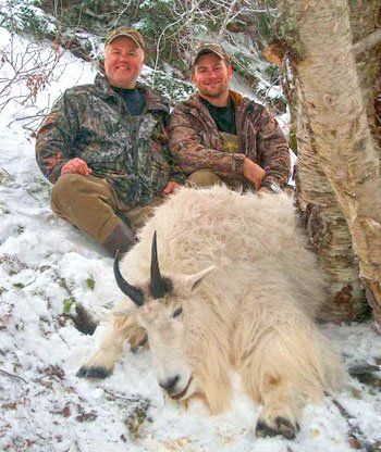 Two men are sitting next to a mountain goat in the snow.