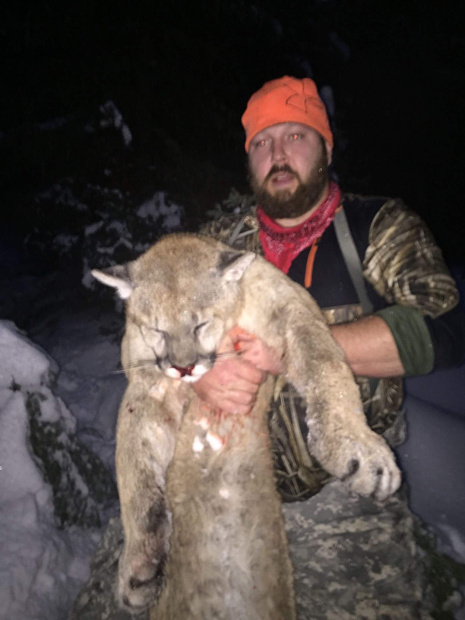 A man is holding a mountain lion in his hands in the snow.